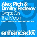 Alex Pich Dmitry Federov - Drops On The Moon Jonas Hornblad Remix