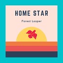 Forest Looper - Ordinary Day