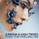 JunkDNA Kash Trivedi - Push The Feeling On