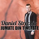 Daniel Strechie - Dupa Ani De Pribegie