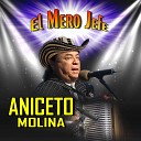 Aniceto Molina - Mayo