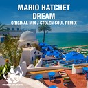 Mario Hatchet - Dream Stolen Soul Remix