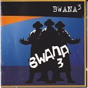 Bwana3 - It Will Never Be the Same