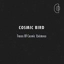 Cosmic Bird - Meteors Shower