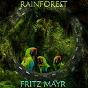 FRITZ MAYR - THE HIDDEN ANCIENT KINGDOMS 04 29