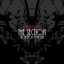 Patrick P - The Section
