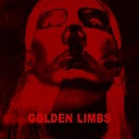 Golden Limbs Cover Sauce - Holding Out for a Hero