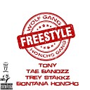 Trey Stakkz feat Tony Tae Bandzz Bontana… - Wolf Gang Freestyle