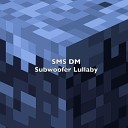 Sms DM - Subwoofer Lullaby From Minecraft