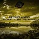 Alexsandr Kamenev - Love Atmosphere Original Mix