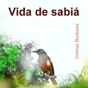 Cidinei Barbosa - Vida de Sabi