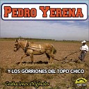 Pedro Yerena - Pideme Lo Que Quieras