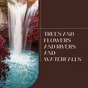 River Sounds - 1 Hour of River Sounds Through the Rocks Pt…