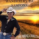 Wanderley da Sanfona - Ela um Avi o