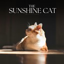 Cat Songs - Passing Contemplations