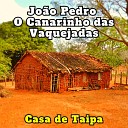 Jo o Pedro O Canarinho das Vaquejadas - Matar de Faca Cover