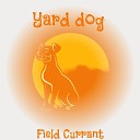 Field Currant - Yard dog