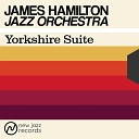 James Hamilton Jazz Orchestra - Thrifty