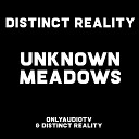 Distinct Reality - calm winds demo