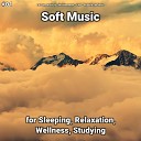 Relaxing Music by Terry Woodbead Yoga Relaxing Spa… - Soft Music Pt 76