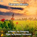 Deep Sleep Relaxing Music Yoga - Serene Music Pt 78