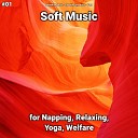 Relaxation Music Relaxing Spa Music Yoga - Soft Music Pt 67