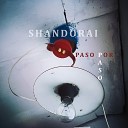 Shandorai - Сумасшедшие Люди Cover