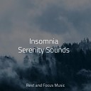 Sounds of Nature White Noise for Mindfulness Meditation and Relaxation Chakra Meditation Universe The Sleep… - At Peace