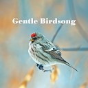 Deep Meditation Music Zone - Healing Birdsong