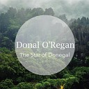 Donal O Regan - The Banks of My Own Lovely Lee