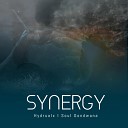 Hydraulx Soul Gondwana - Synergy