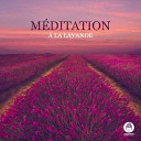 Meditation Mantras Guru feat Ensemble de Musique Zen… - Calme complet