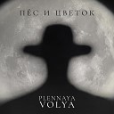 Plennaya Volya - Пес и Цветок