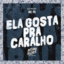 MC PR DJ Kley - Ela Gosta pra Caralho