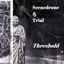 Scenedrone - Threshold