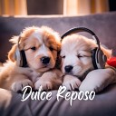 Sonidos Relajantes para Perros - Colores de Calma