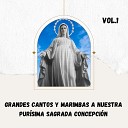 Julio Miguel Grupo Nueva Vida - Sagrada Reina del Cielo
