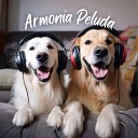 M sica para Mascotas - Ladridos Leves