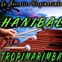 Hanibal Y Su Tropimarimba - Torito de Fuego