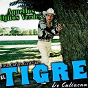 Jose Carlos Gastelum El Tigre De Culiacan - Vengo a Ver Unos Ojos