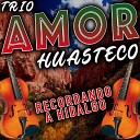 Trio Amor Huasteco - La Cecilia