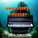 Igor Sirodzha - UnderWater Forest