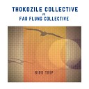 Thokozile Collective Far Flung Collective - Bird Trip
