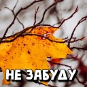 Сергей Грищук - Не забуду