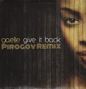 Gaelle - Give It Back Pirogov Remix