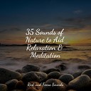 Entspannungsmusik Meditation Relaxation Club Pink… - Fresh and Awake
