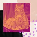 Супер Кошачья музыка - Мечты Спокойные Кошки
