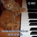 CJ AKO - Красивая мелодия для души без слов Dmitry Air №1