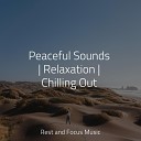 Relaxation Music Guru Childrens Music Tranquil Music Sound of… - Moods of Harmony