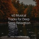 Sleep Sounds of Nature Nature Sound Collection… - Slumbermuse